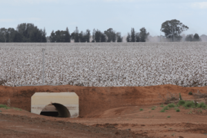 Cotton: Maxiflow