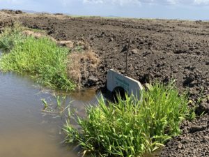 MaxiFlow 1200 Field Drains